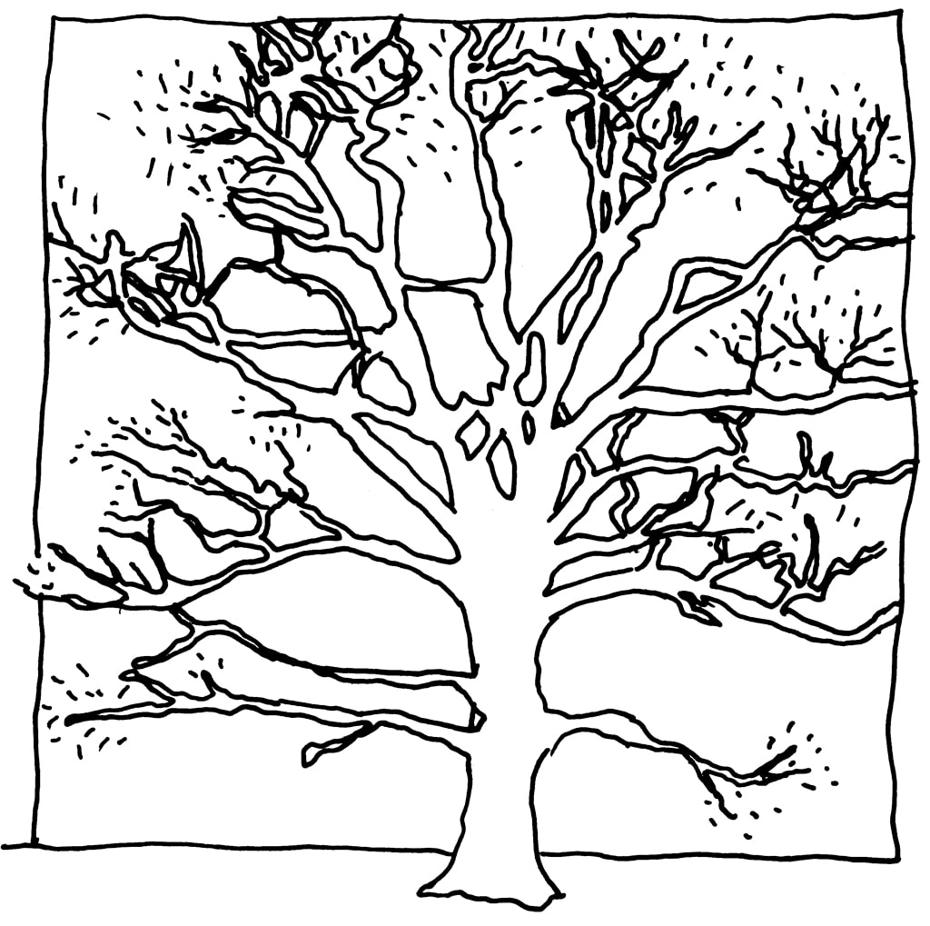 Tree line drawing